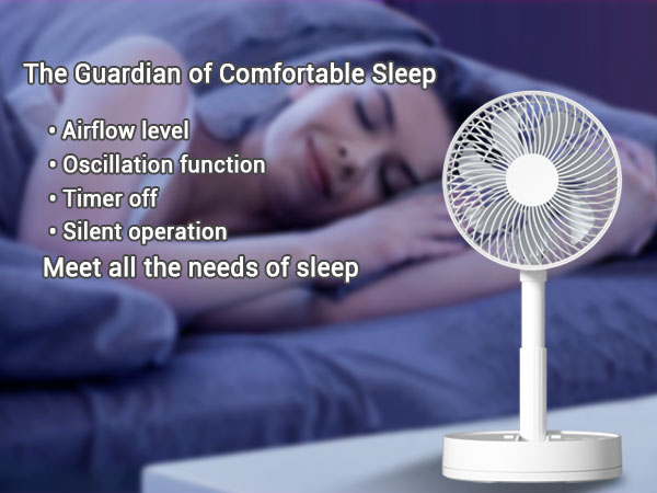 Portable Battery Fan