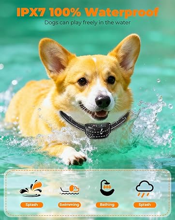 shock collar for dogs 4