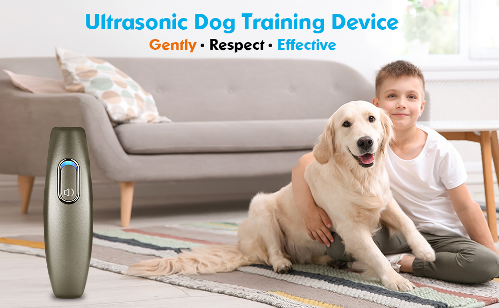 Training and Bark Control Device