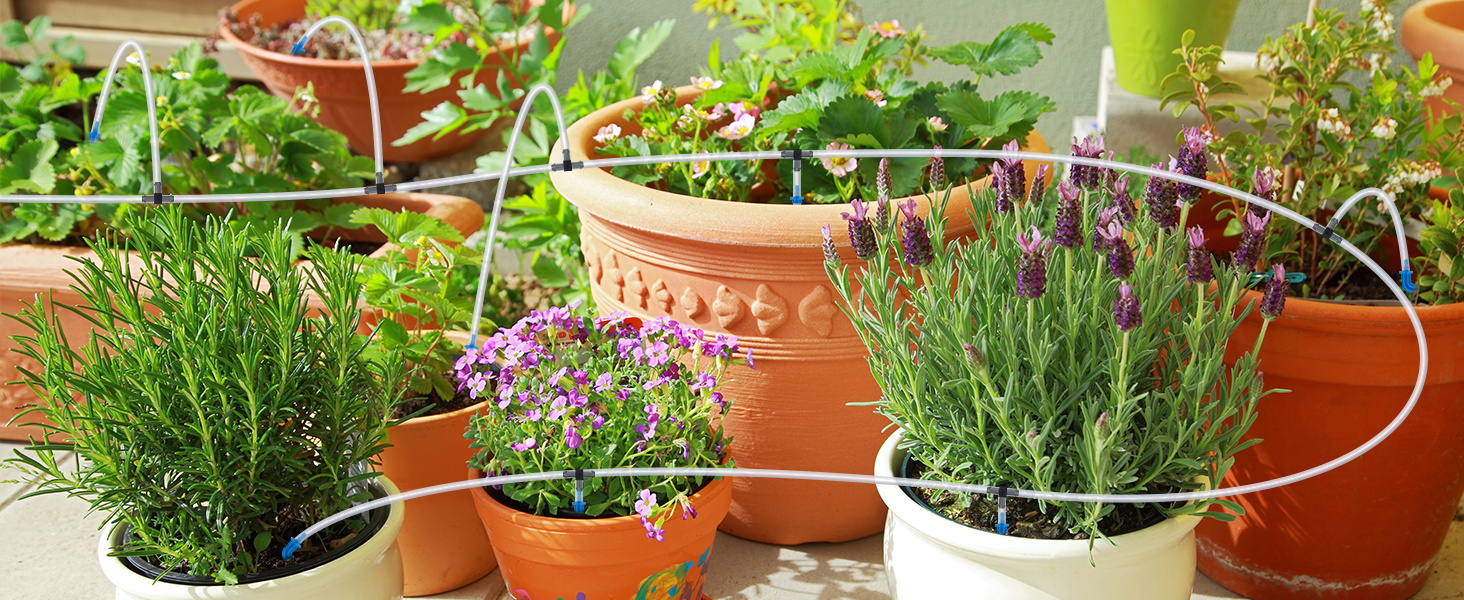 Automatic Plant Waterer
