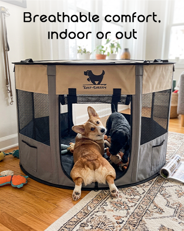 dog playpen