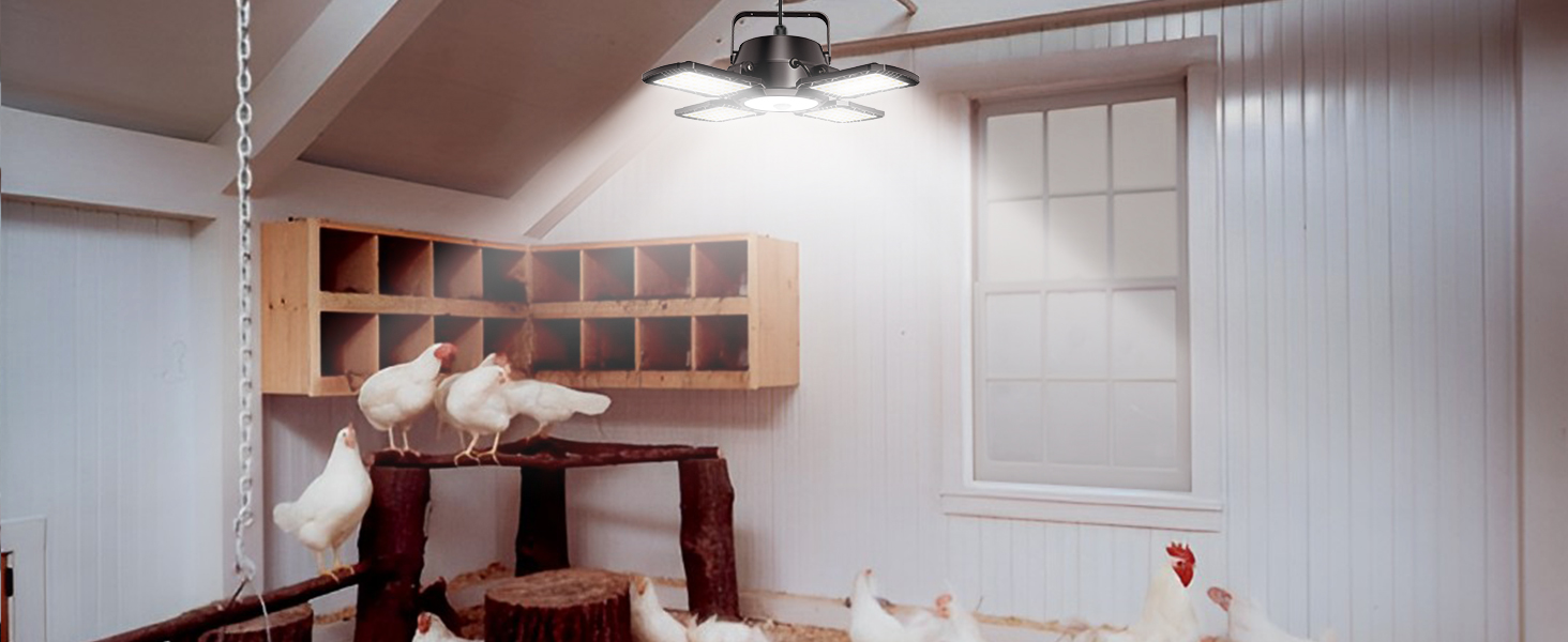 solar coop light