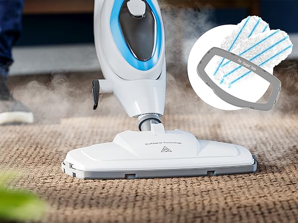 Carpet Cleaning Made Easy