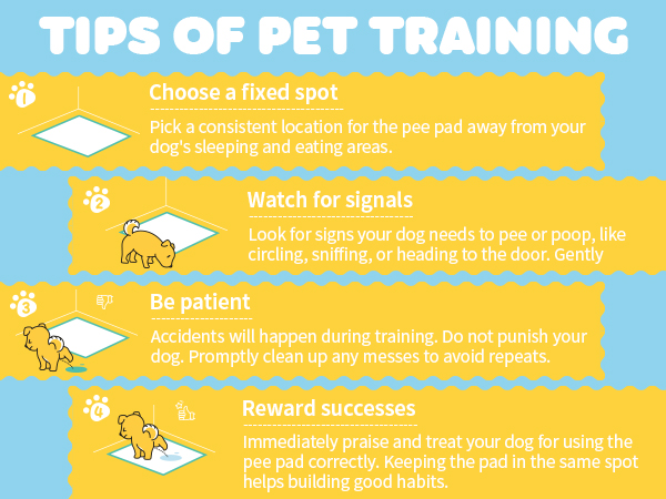dog pads extra large