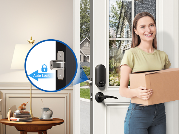 keyless entry door lock 