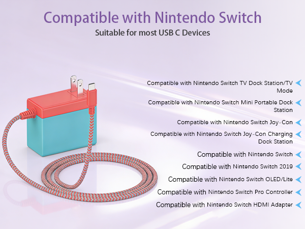 39W Compatible with Nintendo Switch Fast Charging