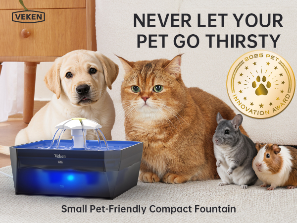 small cat water fountain