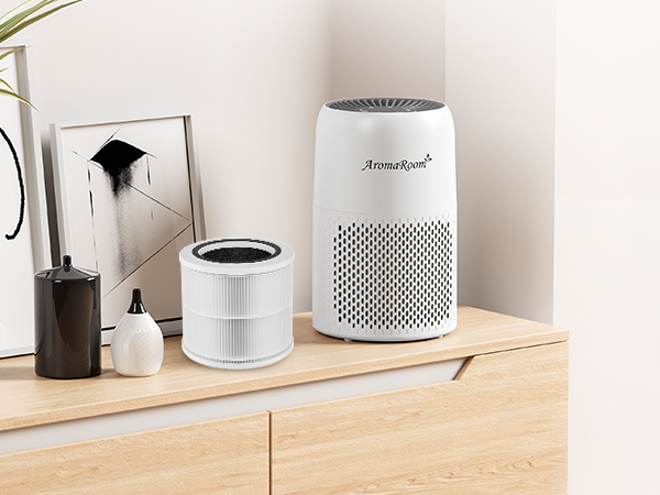 Air Purifier Filter Replacement 