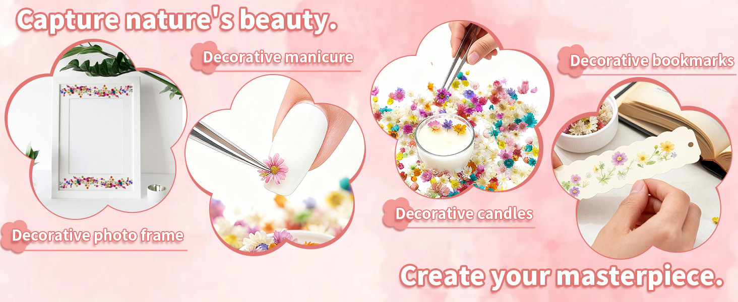 Mini Dried Flowers for Resin