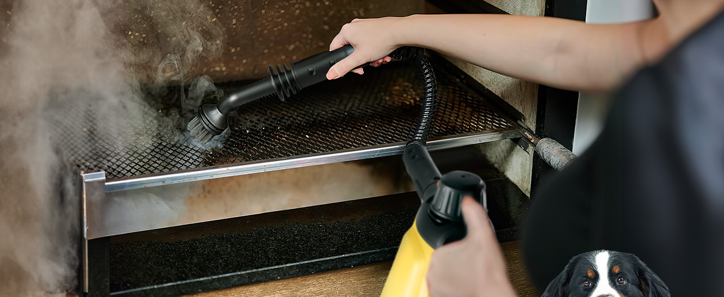 steam cleaner