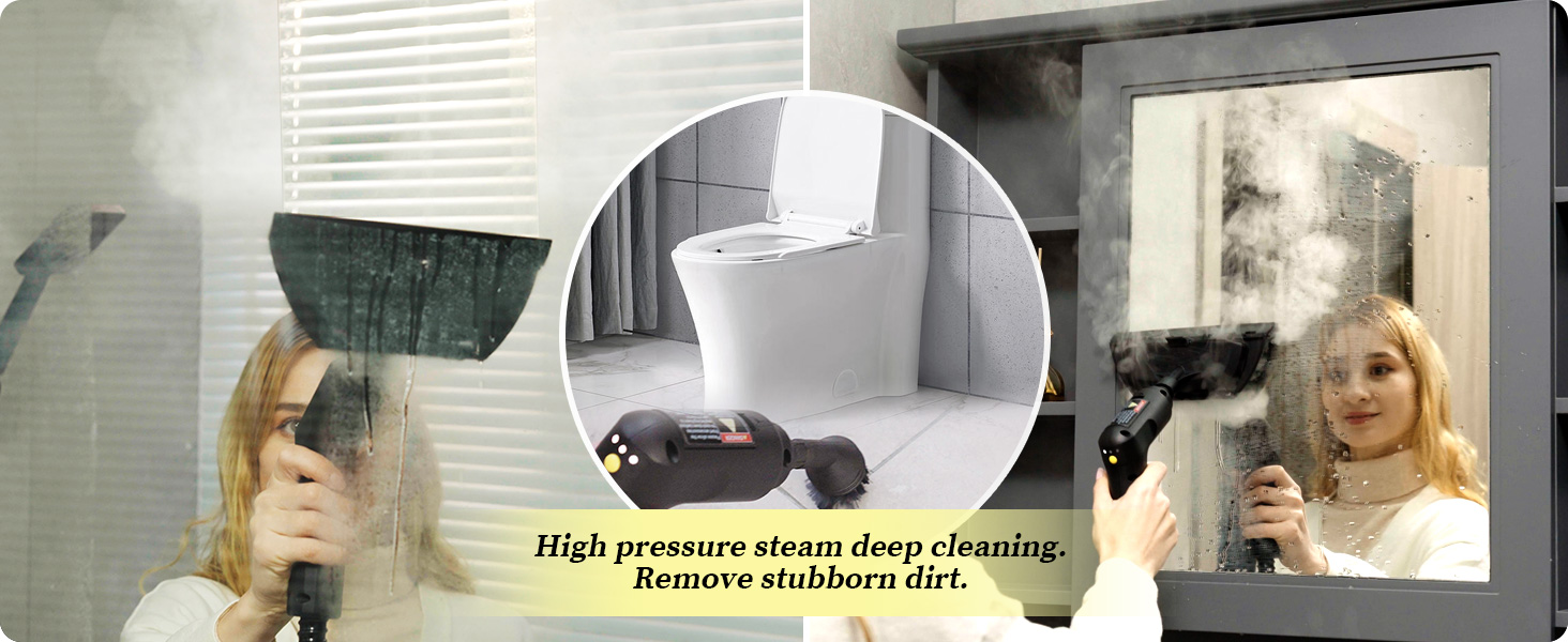 multi purpose steam cleaner, bed bug steamer, house steamer for cleaning, canister steam cleaner
