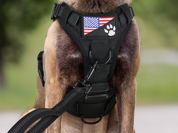 dog harness