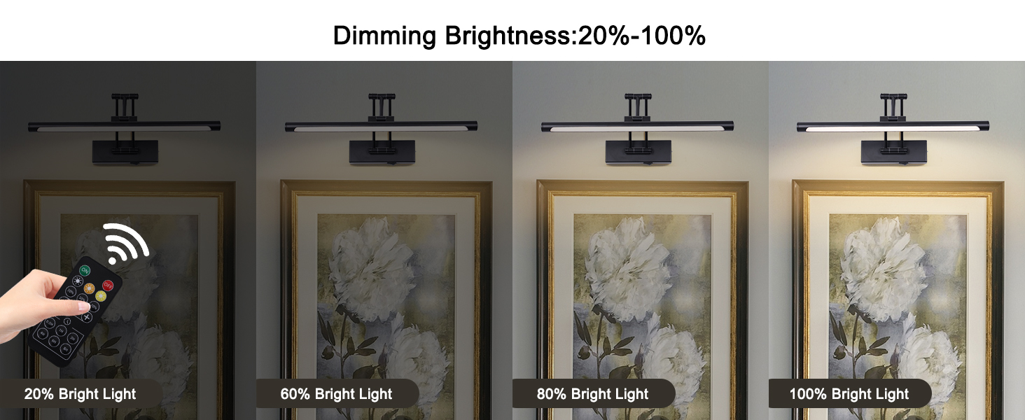DIMMABLE PICTURE LIGHT