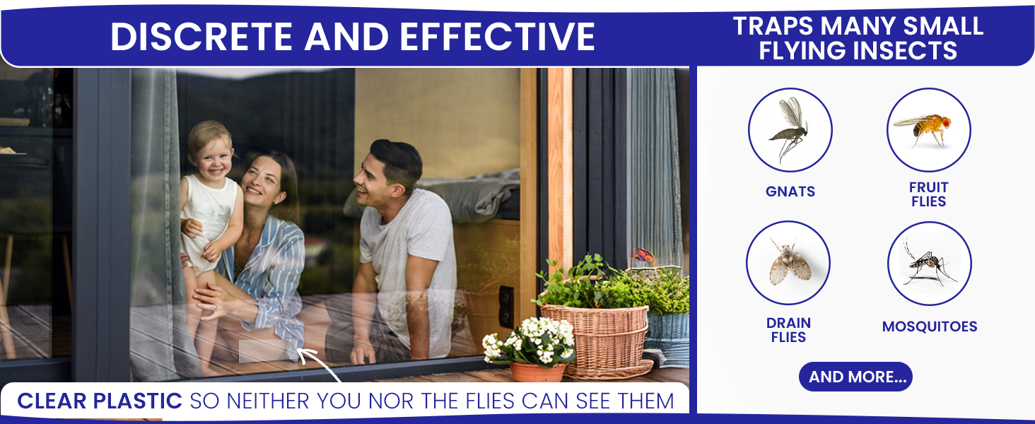 Discrete and effective fly catcher for inside home. Best indoor fly trap for small flying insects
