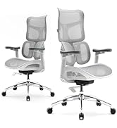SIHOO Doro S100 Ergonomic Office Chair - with Dual Dynamic Lumbar Support, 5-Level Adjustable Bac...