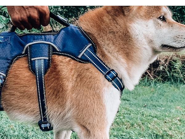 Tracker Harness