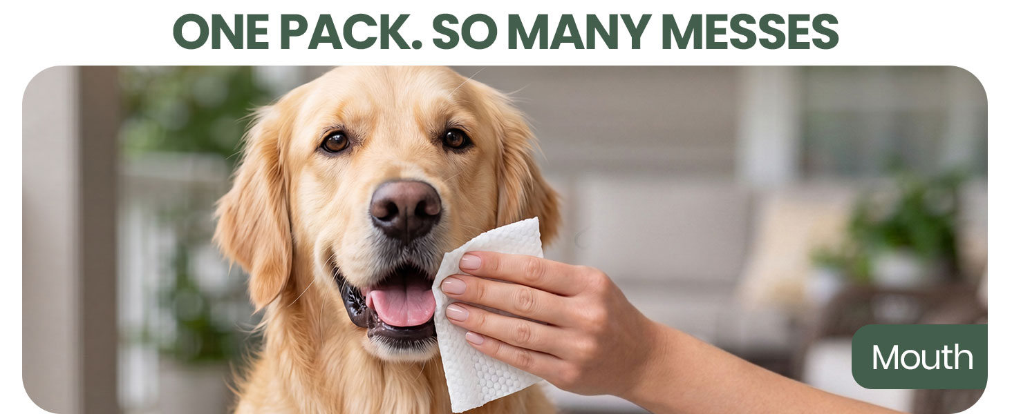 Bark &amp;amp; Clean