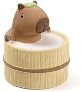 Aroma Ceramic Stone Diffuser [Japan Import] Aromatherapy Essential Oil Diffuser, Non Electric, Pa...