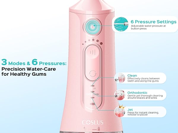 electric toothbrush with water flosser