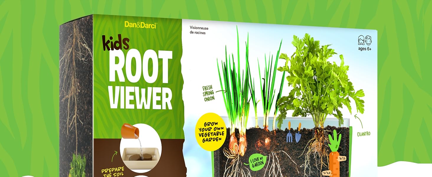 Root Viewer