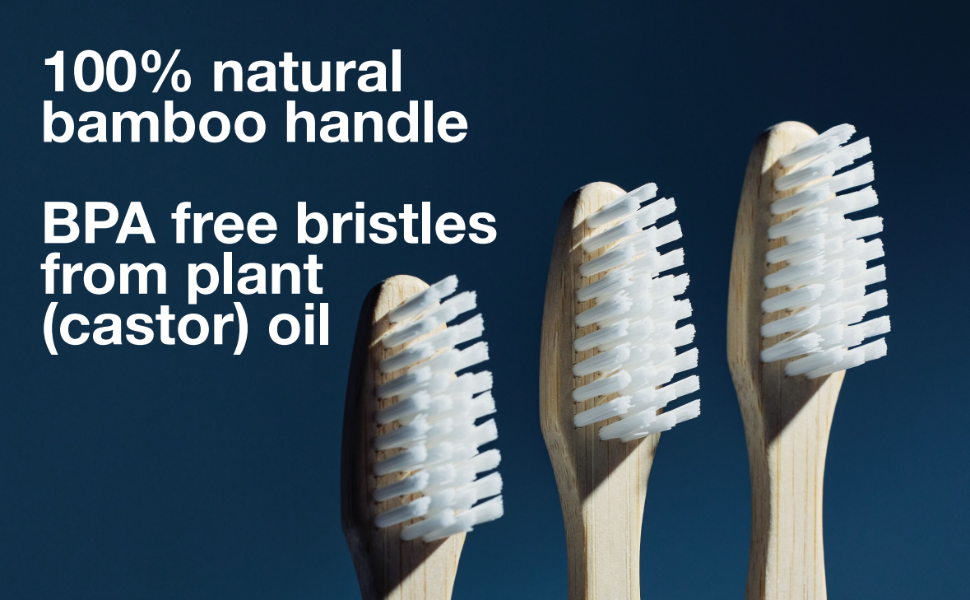 toothbrush dentista dental hygiene cepillo de dientes suave soft bristle toothbrush la dentadura gum