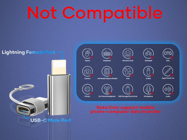  USB C to Lightning Adapter