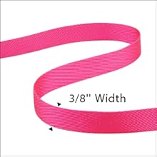 retractable dog leash