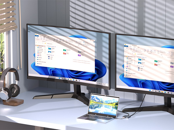 dual monitor adapter 