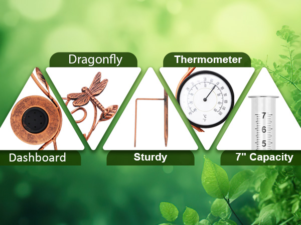 Product Details Display