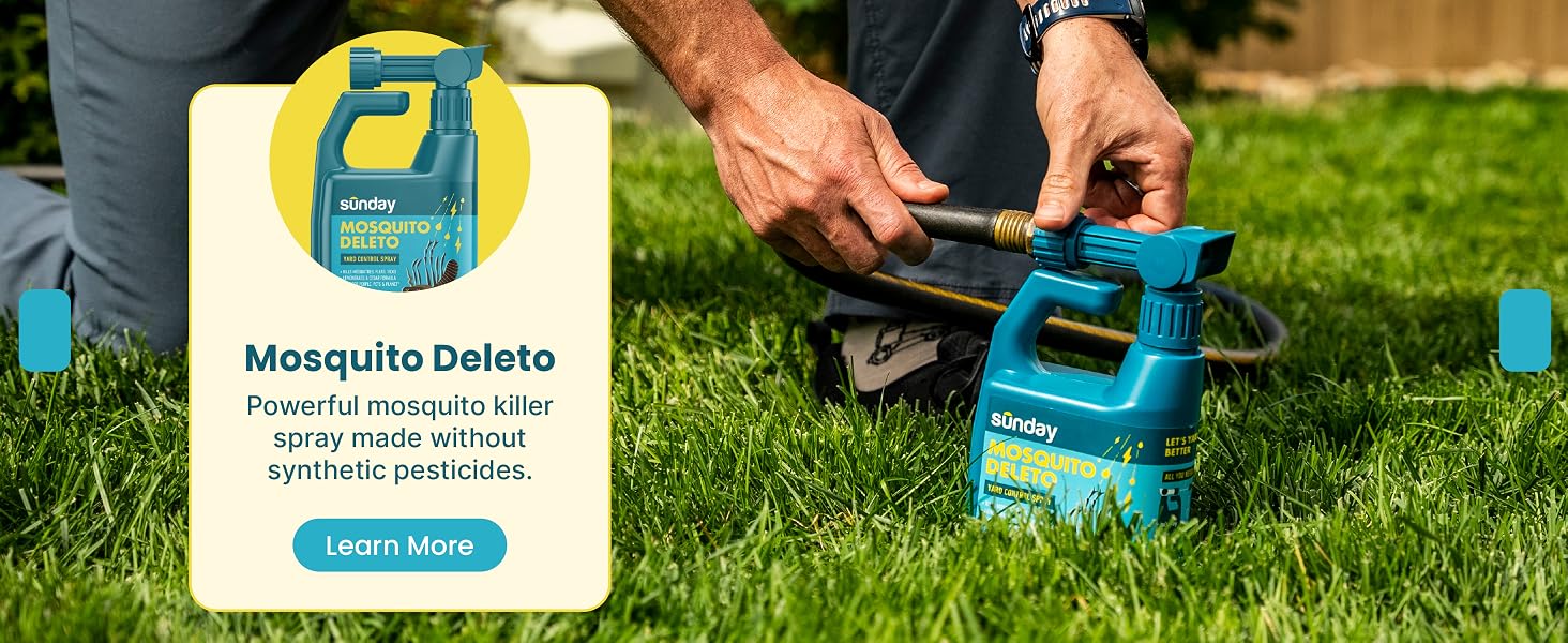 Sunday Mosquito Deleto