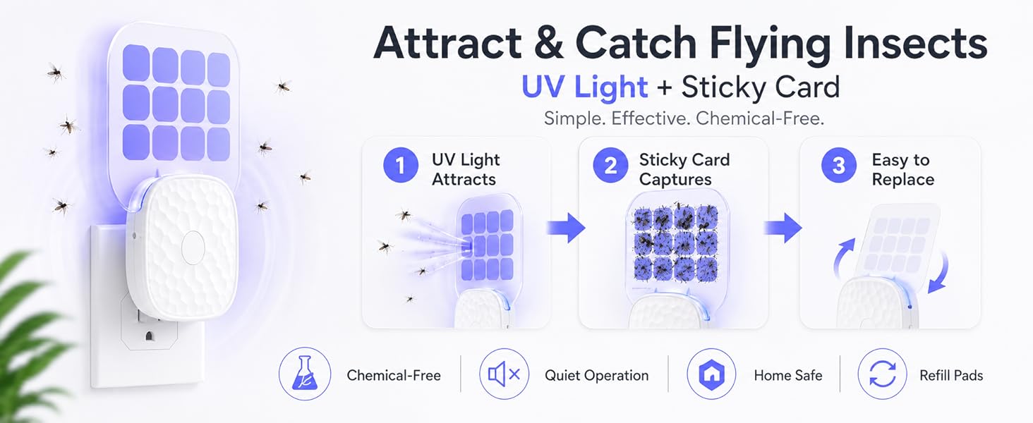 UV light flying insects