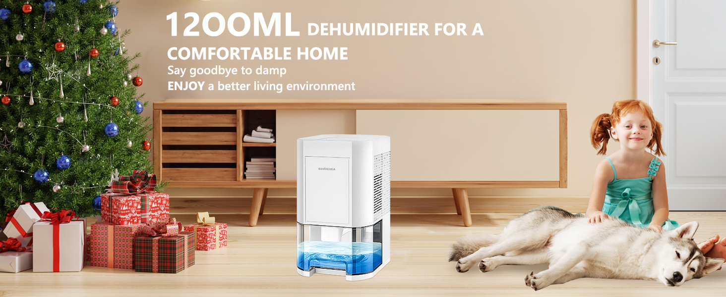 Dehumidifier for Home