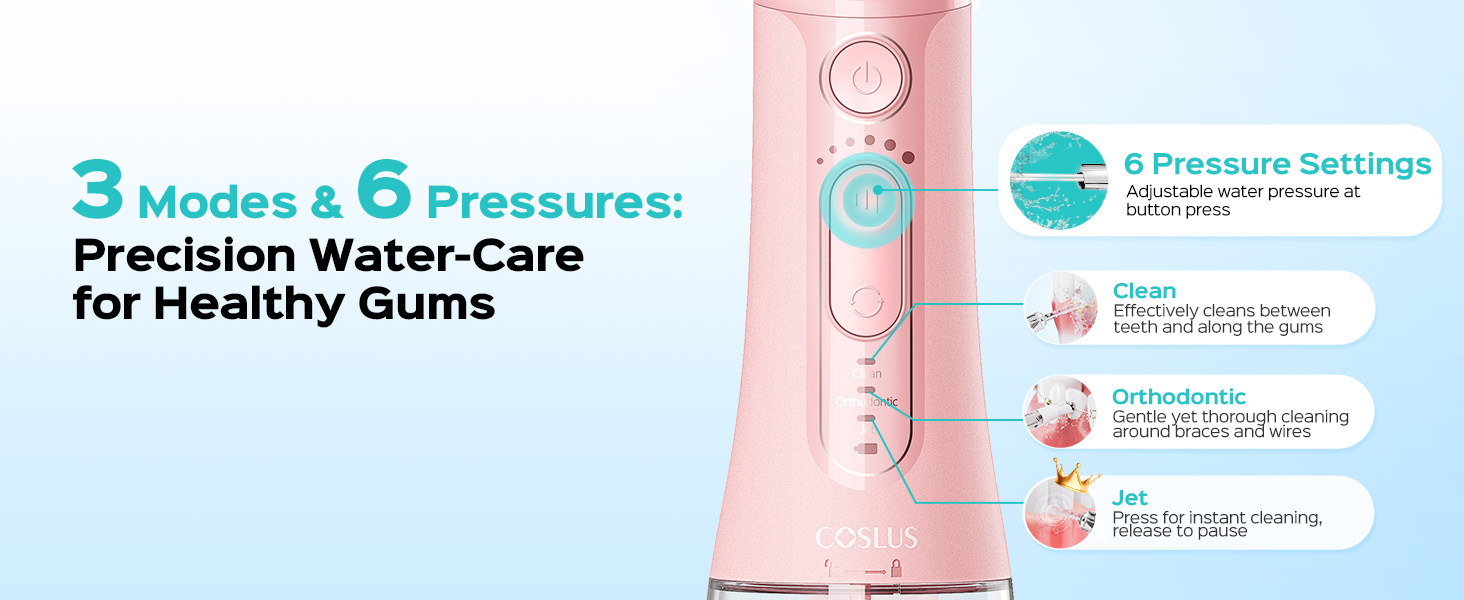 electric toothbrush with water flosser