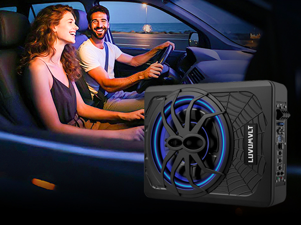 Car Subwoofer
