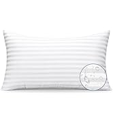OTOSTAR Outdoor Throw Pillow Inserts 12x20 Inch Waterproof Pillow Inserts Lumbar Form Water Resis...