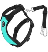 Pet Safety Seat Belts