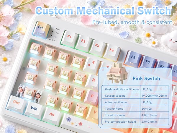 CUSTOM SWITCH