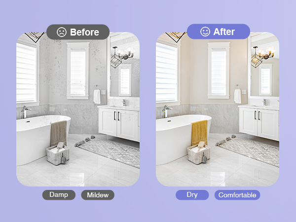 dehumidifier for closet bathroom