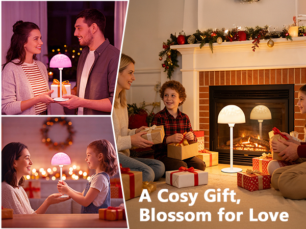 gift ideas