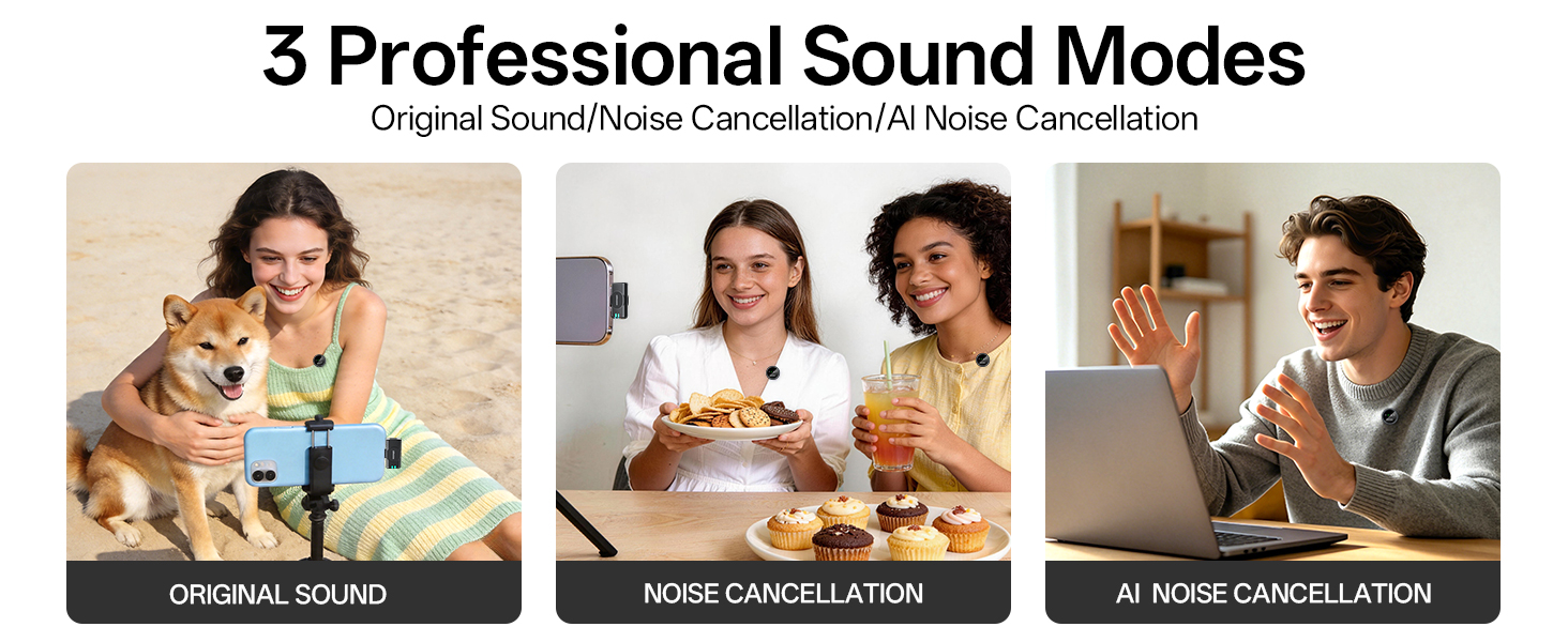 phone microphone with 3 sound modes