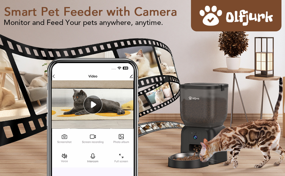 automatic cat feeder