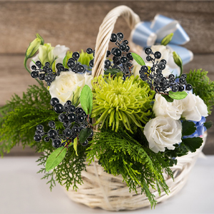 4pcs berry-dark blue