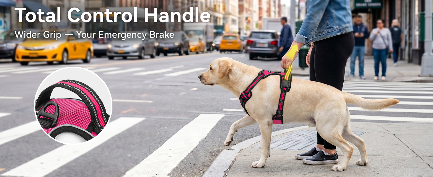 dog harness