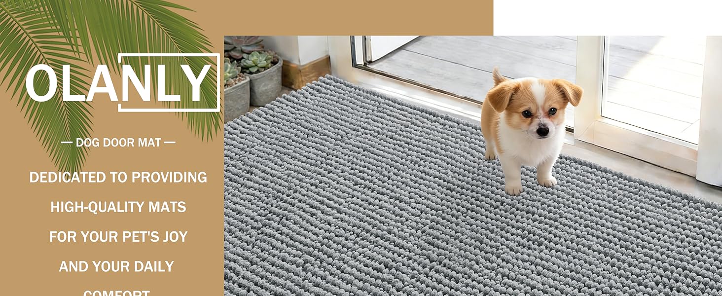 Door Mat