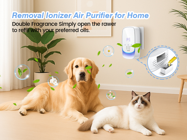 Ozone Odor Eliminator