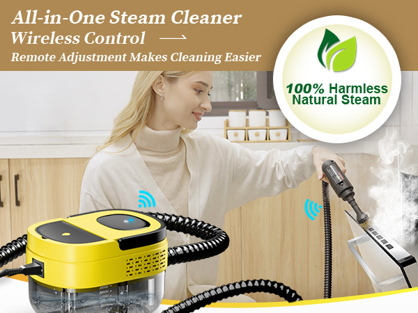 steam cleaner handheld,hand held steam cleaner,pressurized handheld steam cleaner