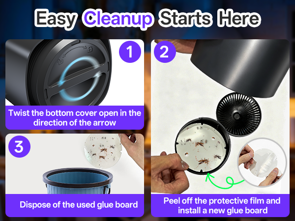 gnat traps for house indoor