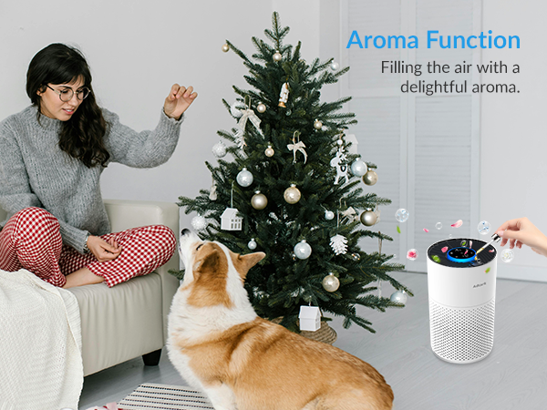 air purifier for home