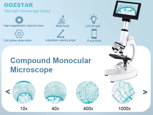 Microscope