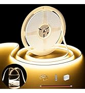 COB LED Strip Neon Rope Light 16.4ft/5m,PAUTIX 2700K Warm White 504 LEDs/m 24V,Silicone LED Neon ...